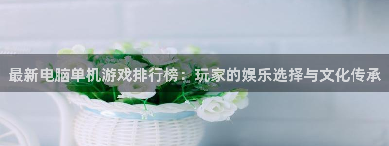 最新电脑单机游戏排行榜：玩家的娱乐选择与文化传承